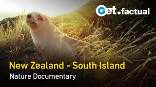 New Zealand - Wild at Heart | Full Nature Documentary