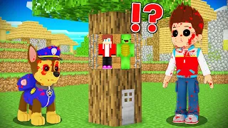 JJ and Mikey Escaped From PAW PATROL.EXE TREE PRISON in Minecraft? - Maizen