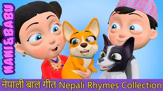 Animal Song | I Have A Pet  | Nepali Rhymes Collection | लोक प्रिय नेपाली बाल गीत