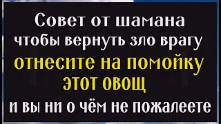 Вечером отнесите этот овощ на помойку и всё зло вернётся врагу