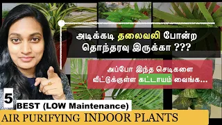வீட்டில் காற்றை சுத்தம் செய்து நச்சு தன்மை நீக்கும் 5 AIR PURIFYING INDOOR PLANTS (LOW Maintenance)