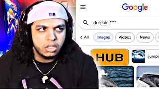 My Viewers are WEIRD!**Search History**