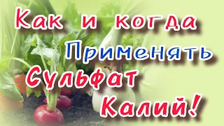 Как применять  Сульфат калий!