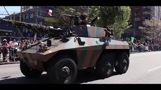 Brazilian parade army military parade - 7 de setembro