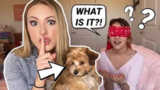 Surprising Kalli with a PUPPY?! 🐶 *MUST SEE*