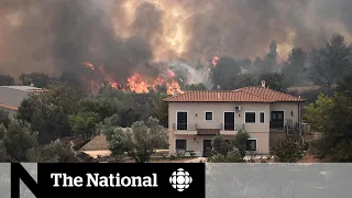 Wildfires ravage Greece, displacing thousands