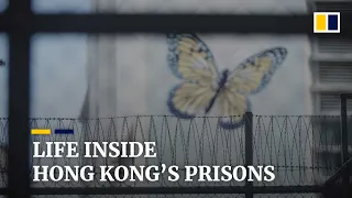 The ‘dead volcanoes, calves and piglets’ behind the walls of Hong Kong’s prisons