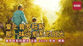 电影馆 普罗旺斯的夏天 爱上普罗旺斯那一抹治愈系的阳光