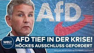 THÜRINGEN: AFD-Krise spitzt sich zu! Jetzt fordern Abgeordnete den Parteiausschluss von Björn Höcke!