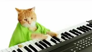 Keyboard Cat #39;s World Series Wonderful Pistachios Commerc
