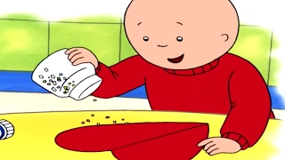 Caillou Full Episodes - 4 HOURS | Caillou Learns How to Dress |