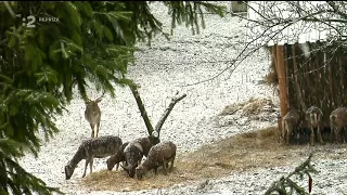 Ahoj Slovensko - Ahoj Švošov