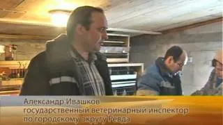 Вакцинация птицы и домашнего скота