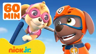 PAW Patrol Land, Air & Sea Animal Rescues! w/ Skye and Zuma | 1 Hour Compilation | Nick Jr.