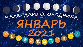 Календарь огородника на январь 2021 года. Лунный посевной календарь садовода | Флористикс Инфо