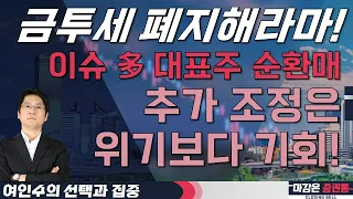 금투세 폐지해라마! 이슈 多 대표주 순환매! 추가 조정은 위기보다 기회! #여인수 #선택과집중 #마감은증권통 #금투세 #제약바이오 #2차전지 #반도체