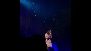 Lana Del Rey Chicago 2019