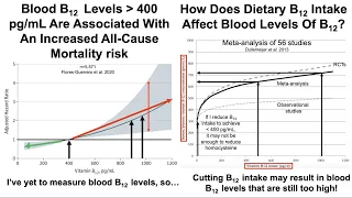 Homocysteine Update, What's Optimal For Vitamin B12?