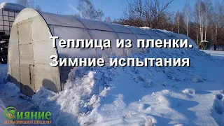 Теплица из пленки  Испытания зимой