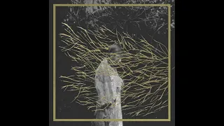 TEST OF RIGTS - FOREST SWORDS   Friend, You Will Never Learn