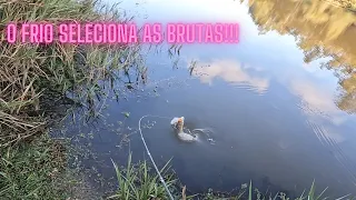 Cavas Ponte de ferro. Rio Tibagi. Pescaria