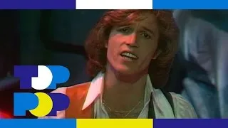 Andy Gibb - Love Is Thicker Than Water • TopPop