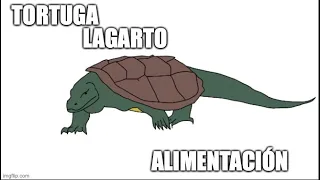 Tortuga lagarto Alimentación