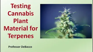 Testing Cannabis Plant Material for Terpenes