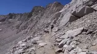 PCT Thru-hike Video 49 - 6/18/14 - Forester Pass, let the switchbacks begin!