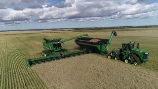 Harvest 2019 | 4K | Canada