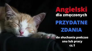 Angielski dla zmęczonych - przydatne zwroty dla początkujących (nauka języka podczas snu i pracy)