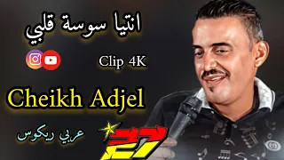 Cheikh Adjel -/ انتيا سوسة قلبي -/ Feat Arbi Rikoss clip 4K charef gerache شيخ العجال