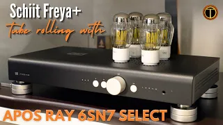 Apos Ray 6SN7 Select, Tubes That End My NOS Madness