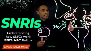 Exploring SNRIs' Unique SERT and NAT Ratios -  Why They Are Not All the Same!