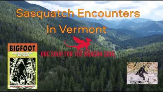 A Sasquatch encounter in Vermont.👀👣 Stranger than Fiction #bigfoot #cryptids #supernatural