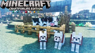 Безумный Холод, Волки и Первые Цыплята - CRAFT For Life Minecraft