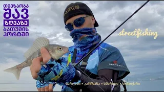 თევზაობა შავ ზღვაზე სპინინგით Streetfishing ბათუმის პორტში, სარღანი , სმარიდა , კარჩხანა, ხონთქარი..