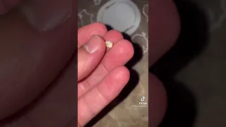 ¿Quien sera el Ratón de  los dientes ? los papas XD