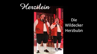 Herzilein - Die Wildecker Herzbuben