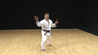 Shinbaru Nu Sai 古武道（サイ） 千原之サイ