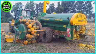 The Most Modern Agriculture Machines That Are At Another Level , How To Harvest Pumpkins In Farm