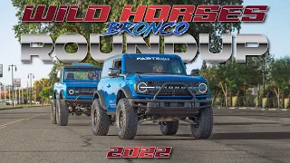 Taking Over Small Town California with Ford Broncos! // WILD HORSES Roundup Recap