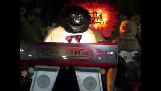 The Rock-Afire Explosion - 16 Tons - Billy Bob's Wonderland