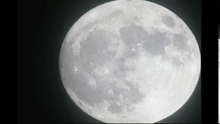 Supermoon - November 13, 2016 - Live Stream