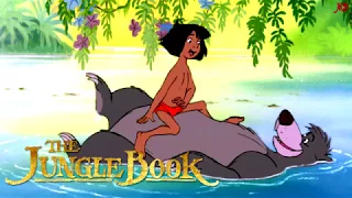 Jungle book- The Bare Necessities [Music Cover]