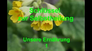 Unsere Ernährung 1