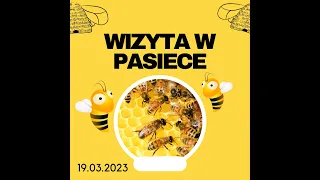 Szybki przegląd pasieki po oblocie 19.03.2023 pasieka wędrowna i stacjonarna .