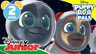 Puppy Dog Pals | Visiting Outer Space 🚀 | Disney Kids