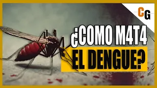 DENGUE - ¿Por qué causa Hemorragias? - Dengue Hemorrágico y Shock por Dengue explicados