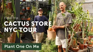 The CACTUS STORE NYC Tour — Ep. 341